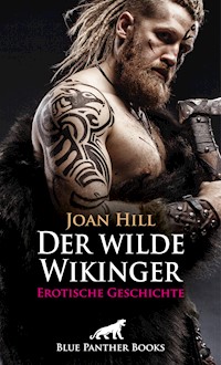 Der wilde Wikinger | Erotische Geschichte - Joan Hill - E-Book