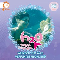 16: Wünsch' dir was / Verflixtes Fischmenü - Henning Stegelmann - Hörbuch