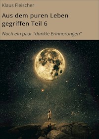 Aus dem puren Leben gegriffen Teil 6 - Klaus Fleischer - E-Book