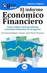 Guíaburros: El informe económico financiero - Josu Imanol Delgado y Ugarte - E-Book
