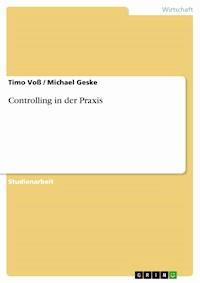 Controlling in der Praxis - Timo Voß - E-Book