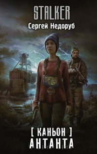 Каньон. Антанта - Сергей Недоруб - E-Book