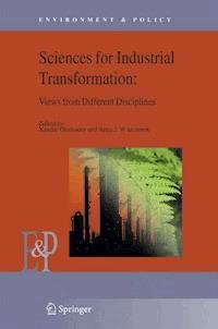 Understanding Industrial Transformation -  - E-Book