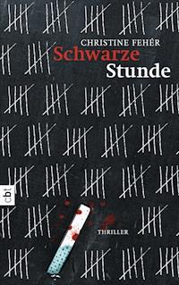 Schwarze Stunde - Christine Fehér - E-Book