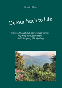 Detour back to Life - Harald Meier - E-Book
