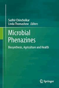 Microbial Phenazines -  - E-Book