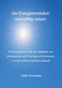 Die Energierevolution vernünftig nutzen - Peter Thurnhofer - E-Book
