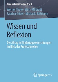 Wissen und Reflexion - Werner Thole - E-Book