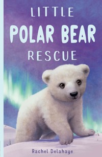 Little Polar Bear Rescue - Rachel Delahaye - E-Book