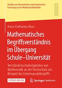 Mathematisches Begriffsverständnis im Übergang Schule–Universität - Anna-Katharina Roos - E-Book