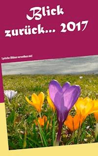 Blick zurück ... 2017 -  - E-Book