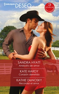 Arrebato de amor - Corazón derretido - Recordar el amor - SANDRA HYATT - E-Book