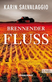 Brennender Fluss - Karin Salvalaggio - E-Book