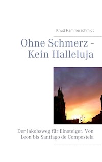 Ohne Schmerz - Kein Halleluja - Knud Hammerschmidt - E-Book