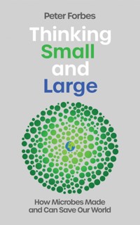 Thinking Small and Large - Peter Forbes - E-Book