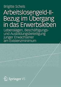 Arbeitslosengeld-II-Bezug im Übergang in das Erwerbsleben - Brigitte Schels - E-Book