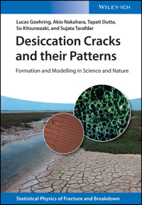 Desiccation Cracks and their Patterns - Lucas Goehring - E-Book