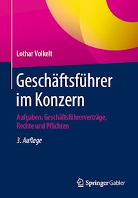 Geschäftsführer im Konzern - Lothar Volkelt - E-Book