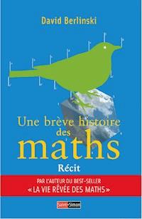 Une brève histoire des maths - David Berlinski - E-Book