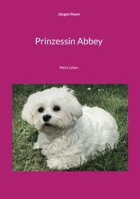 Prinzessin Abbey - Jürgen Mann - E-Book