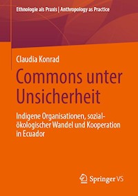 Commons unter Unsicherheit - Claudia Konrad - E-Book