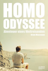 Homo-Odyssee - Brent Meersman - E-Book