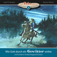 Wie Gott durch ein Gewitter wirkte und andere Andachtsgeschichten - Joel R. Beeke - Hörbuch
