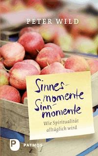 Sinnesmomente - Sinnmomente - Peter Wild - E-Book