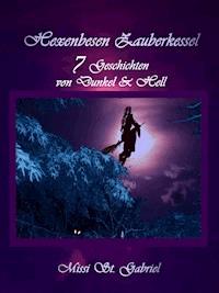 Hexenbesen Zauberkessel - Missi St. Gabriel - E-Book