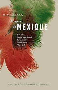 Nouvelles du Mexique - Juan Villoro - E-Book