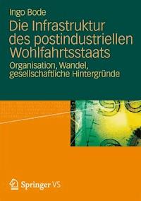 Die Infrastruktur des postindustriellen Wohlfahrtsstaats - Ingo Bode - E-Book