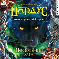Пардус. Посеявший бурю - Евгений Гаглоев - Hörbuch