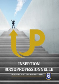 Insertion socioprofessionnelle - Yannick Buttignol - E-Book