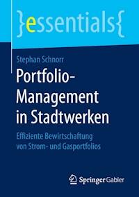 Portfolio-Management in Stadtwerken - Stephan Schnorr - E-Book