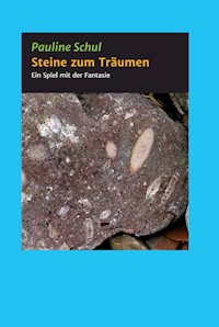 Steine zum Träumen - Pauline Schul - E-Book