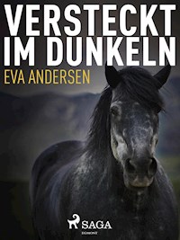 Versteckt im Dunkeln - Eva Andersen - E-Book