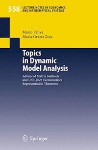 Topics in Dynamic Model Analysis - Mario Faliva - E-Book
