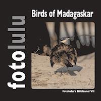 Birds of Madagaskar - fotolulu - E-Book