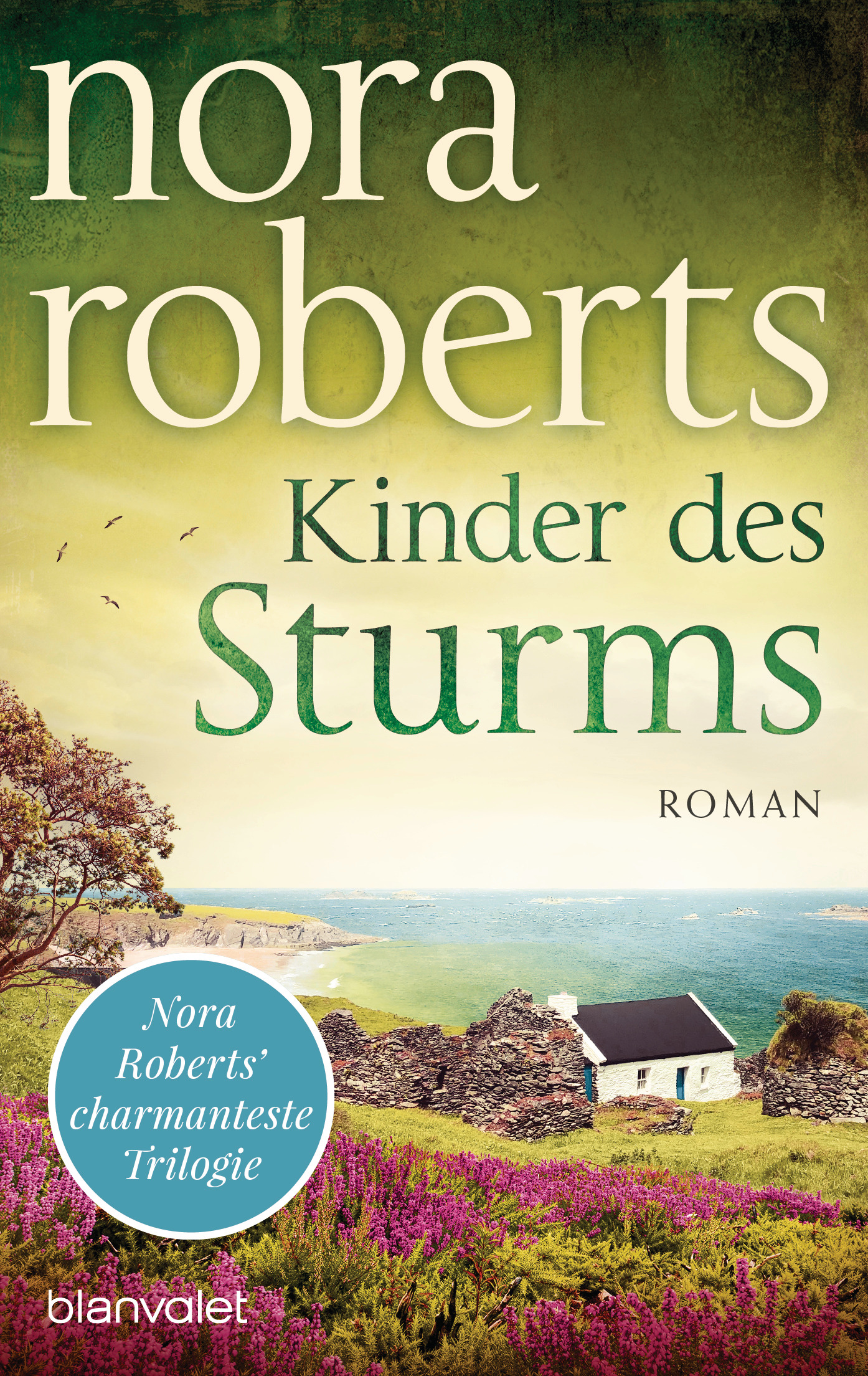 Kinder des Sturms - Nora Roberts - E-Book