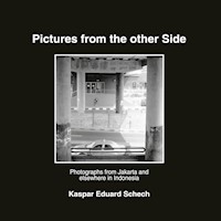 Pictures from the other Side - Kaspar Eduard Schech - E-Book