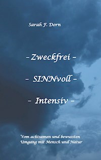 Zweckfrei SINNvoll Intensiv - Sarah F. Dorn - E-Book