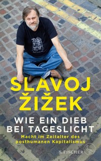 Wie ein Dieb bei Tageslicht - Slavoj Zizek - E-Book
