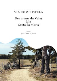 Via Compostela - José Casatéjada - E-Book