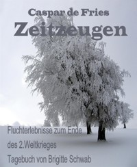 Zeitzeugen - Brigitte Schwab - E-Book