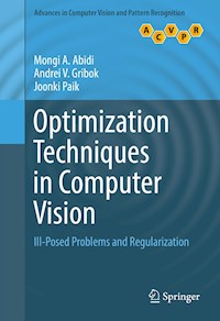 Optimization Techniques in Computer Vision - Mongi A. Abidi - E-Book