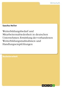 Weiterbildungsbedarf und Mitarbeiterzufriedenheit in deutschen Unternehmen. Ermittlung der vorhandenen Weiterbildungsmaßnahmen und Handlungsempfehlungen - Sascha  Heller - E-Book