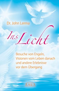 Ins Licht - John Lerma - E-Book