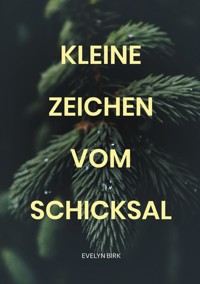 Kleine Zeichen vom Schicksal - Evelyn Birk - E-Book
