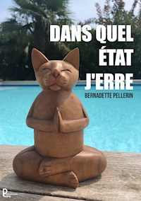 Dans quel état j'erre ? - Bernadette Pellerin - E-Book