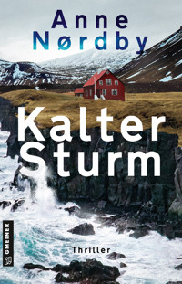 Kalter Sturm - Anne Nordby - E-Book